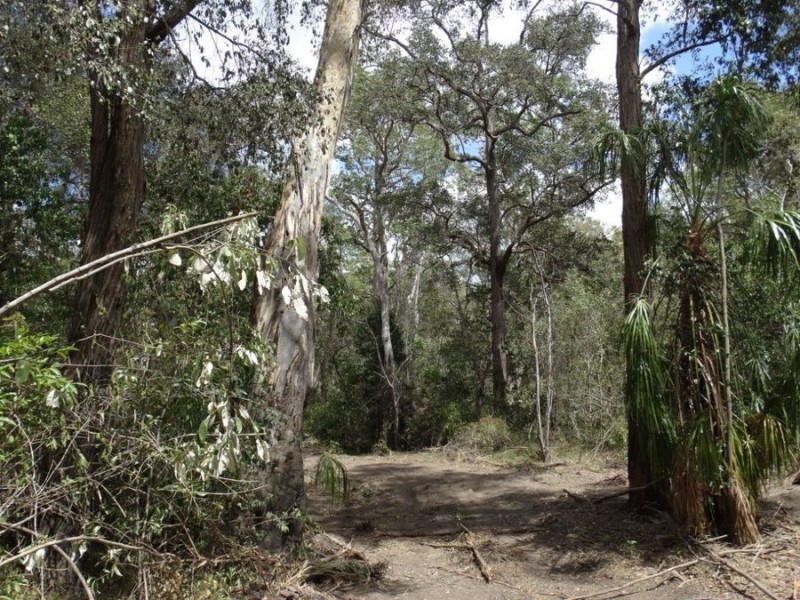 Lot 44 Tableland Road, Mount Maria QLD 4674