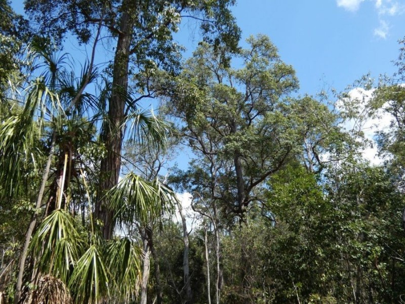 Lot 44 Tableland Road, Mount Maria QLD 4674