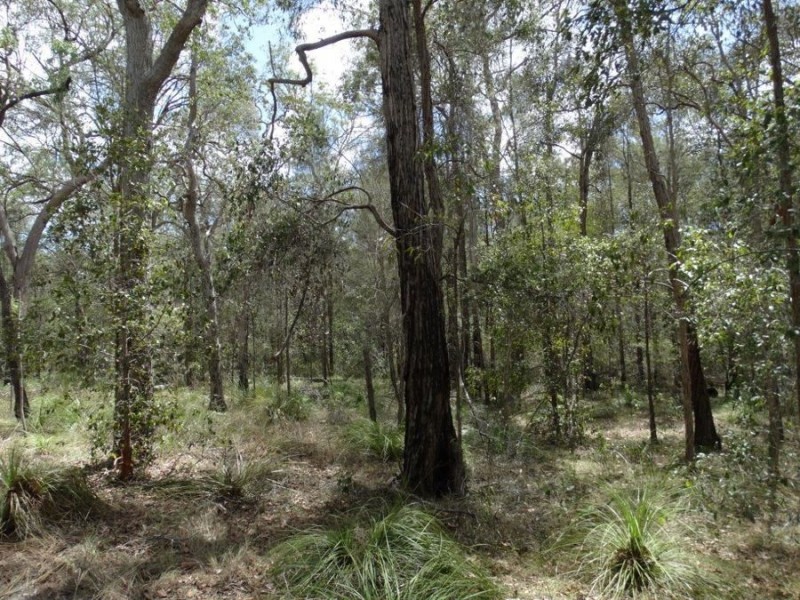 Lot 44 Tableland Road, Mount Maria QLD 4674