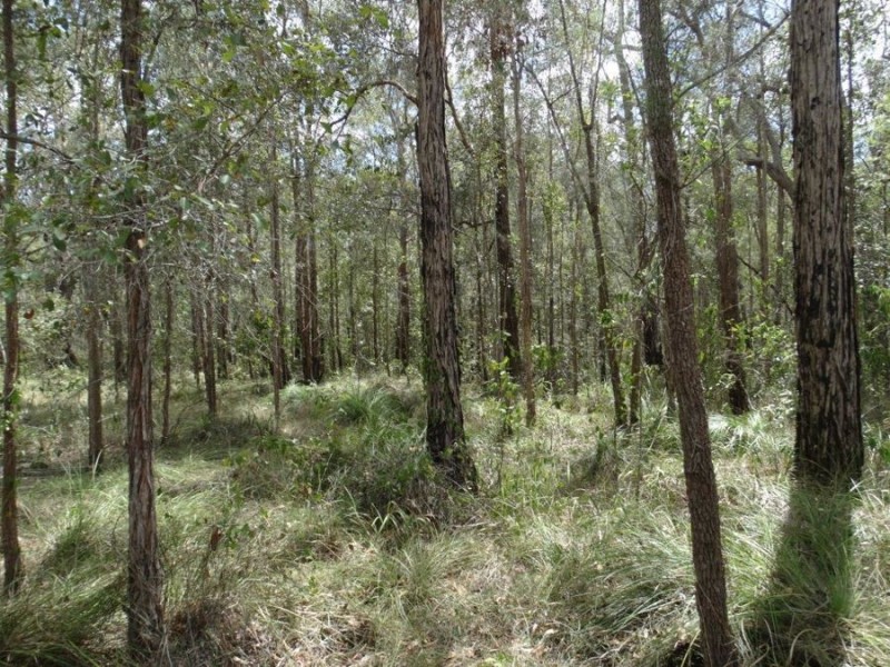 Lot 44 Tableland Road, Mount Maria QLD 4674