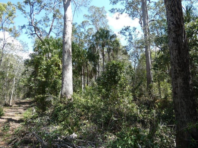 Lot 44 Tableland Road, Mount Maria QLD 4674