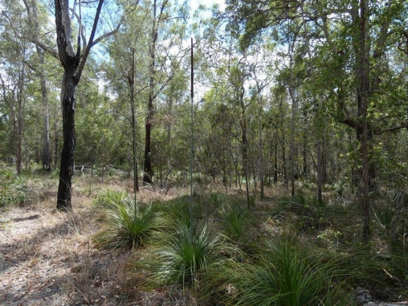 Lot 44 Tableland Road, Mount Maria QLD 4674