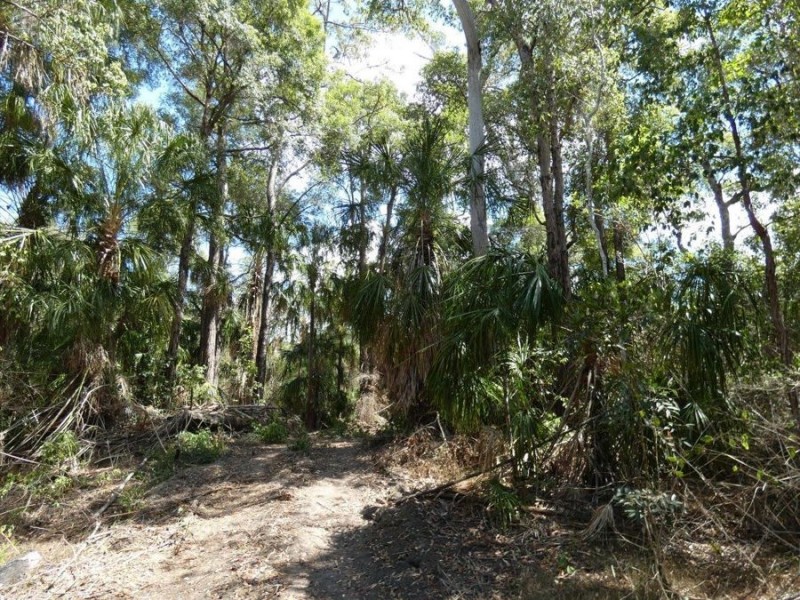 Lot 44 Tableland Road, Mount Maria QLD 4674