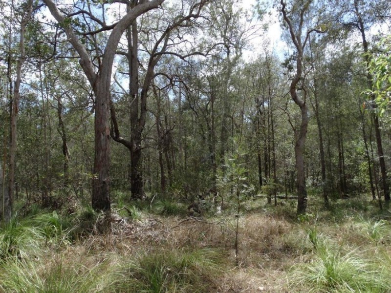 Lot 44 Tableland Road, Mount Maria QLD 4674