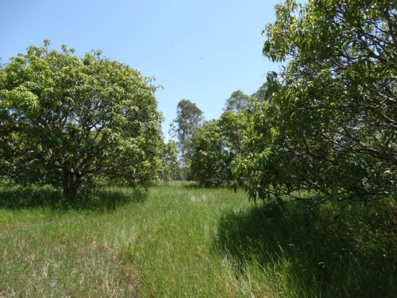 434 Cross Road, Euleilah QLD 4674