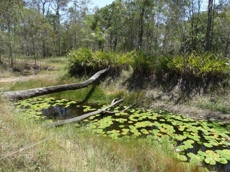 434 Cross Road, Euleilah QLD 4674