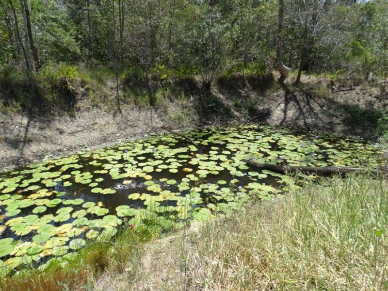 434 Cross Road, Euleilah QLD 4674