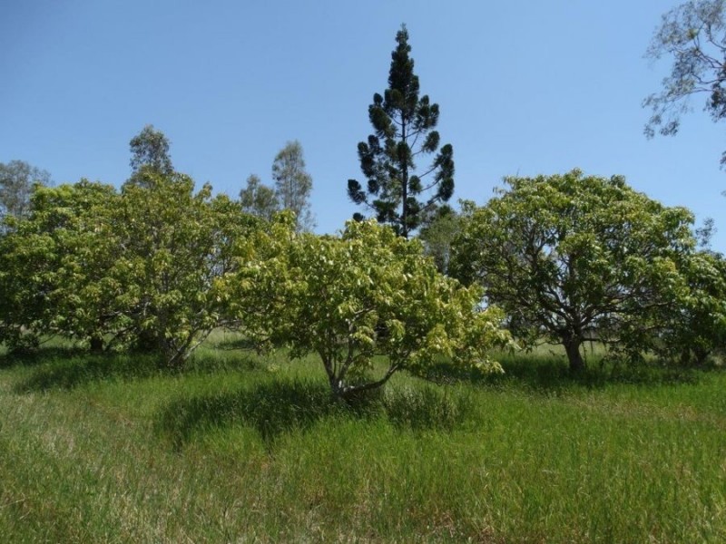 434 Cross Road, Euleilah QLD 4674