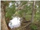 Lot 5 Mollenhagen Road, Rosedale QLD 4674