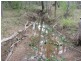 Lot 5 Mollenhagen Road, Rosedale QLD 4674