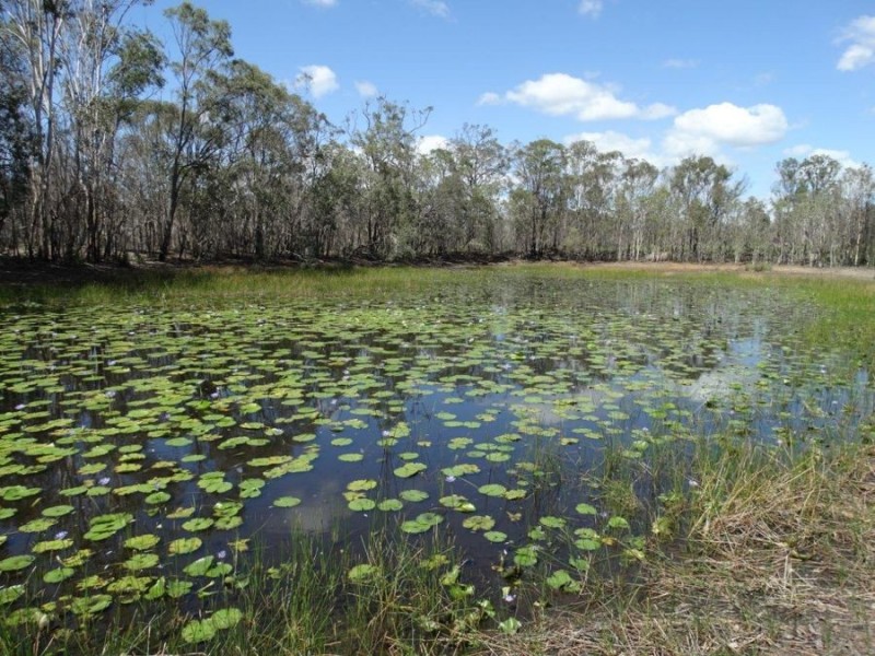 340 Matchbox Road, Deepwater QLD 4674