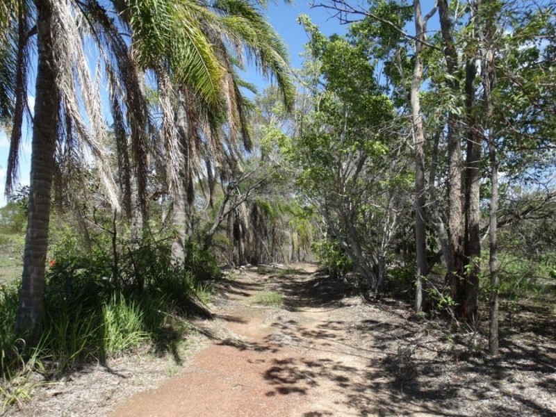 340 Matchbox Road, Deepwater QLD 4674