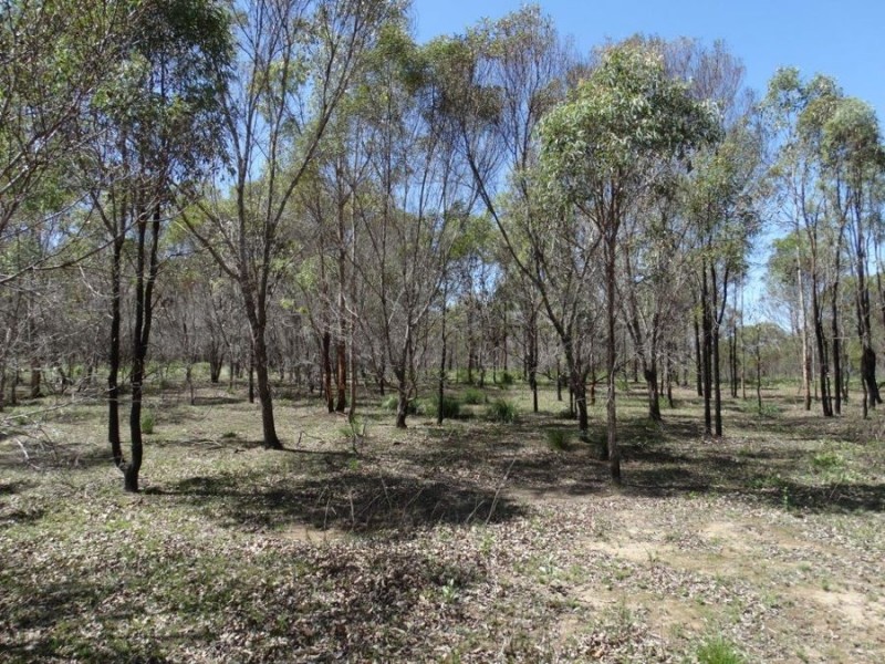 340 Matchbox Road, Deepwater QLD 4674