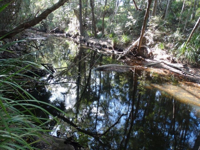 Lot 44 Taunton Road, Euleilah QLD 4674