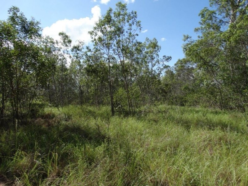 Lot 44 Taunton Road, Euleilah QLD 4674
