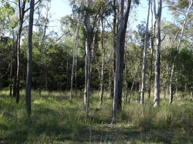 Lot 44 Taunton Road, Euleilah QLD 4674