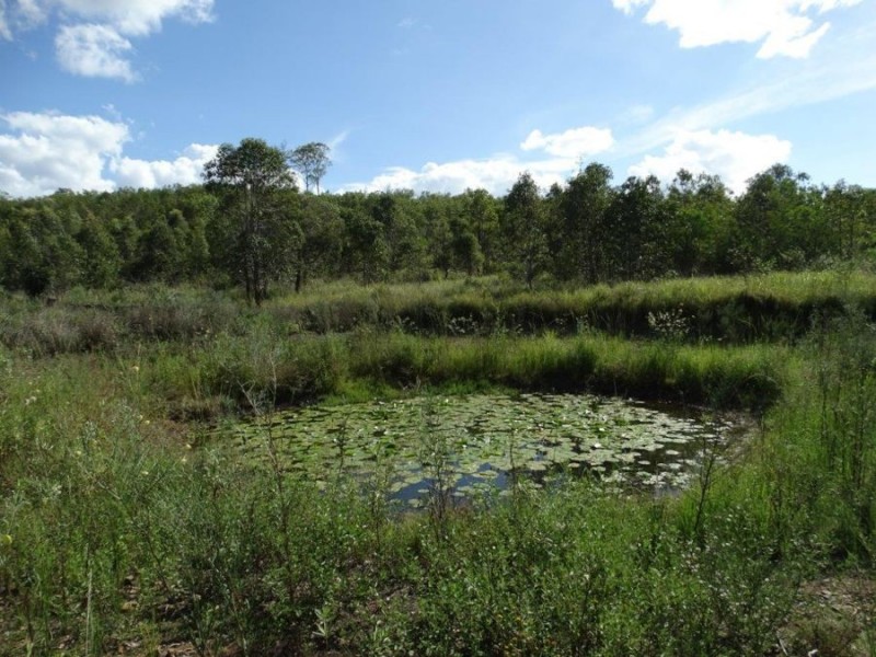 Lot 44 Taunton Road, Euleilah QLD 4674