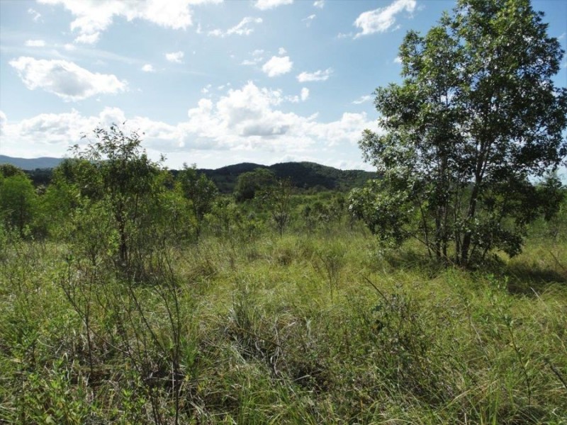 Lot 44 Taunton Road, Euleilah QLD 4674
