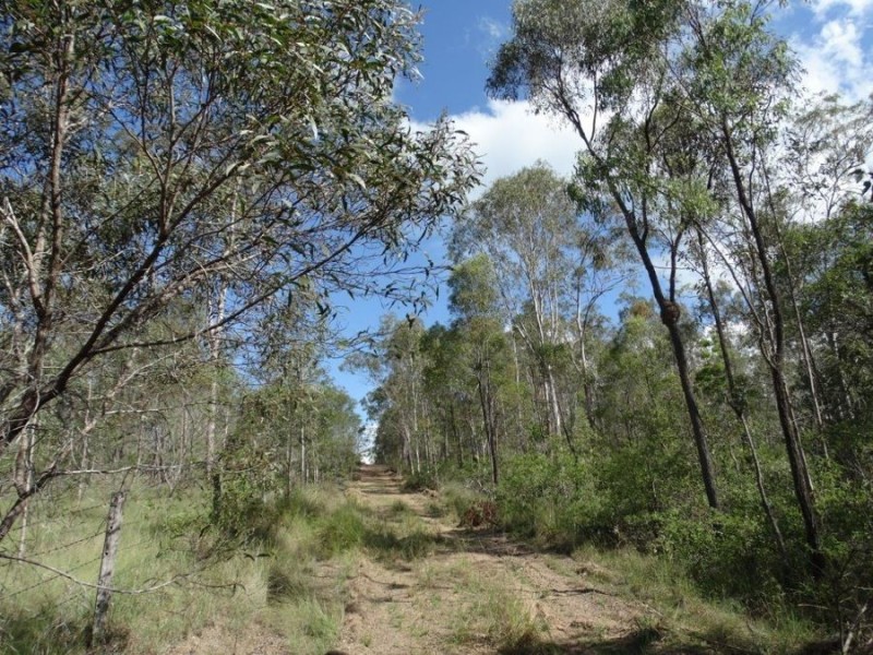 Lot 44 Taunton Road, Euleilah QLD 4674