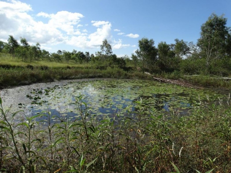 Lot 44 Taunton Road, Euleilah QLD 4674