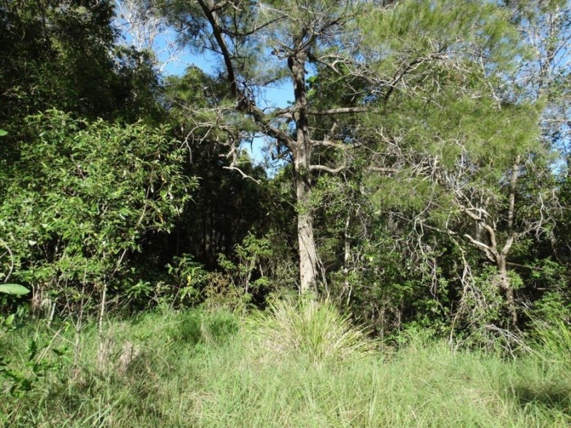 Lot 44 Taunton Road, Euleilah QLD 4674