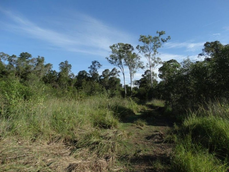 Lot 44 Taunton Road, Euleilah QLD 4674