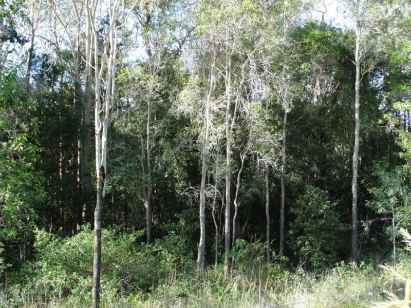 Lot 44 Taunton Road, Euleilah QLD 4674