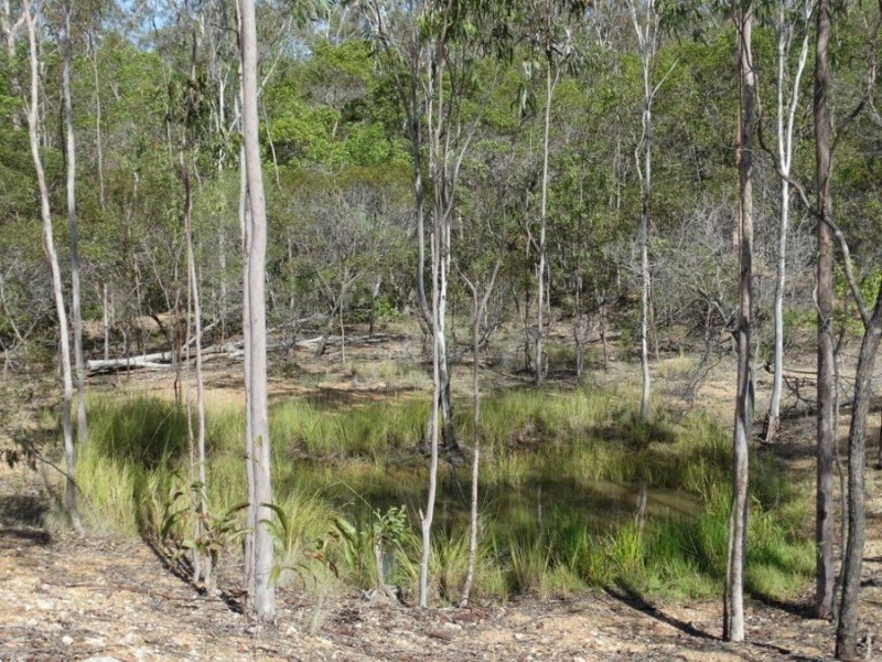 Lot 44 Taunton Road, Euleilah QLD 4674