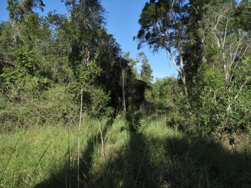Lot 44 Taunton Road, Euleilah QLD 4674