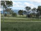 185 Dahls Road, Miriam Vale QLD 4677