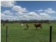 185 Dahls Road, Miriam Vale QLD 4677