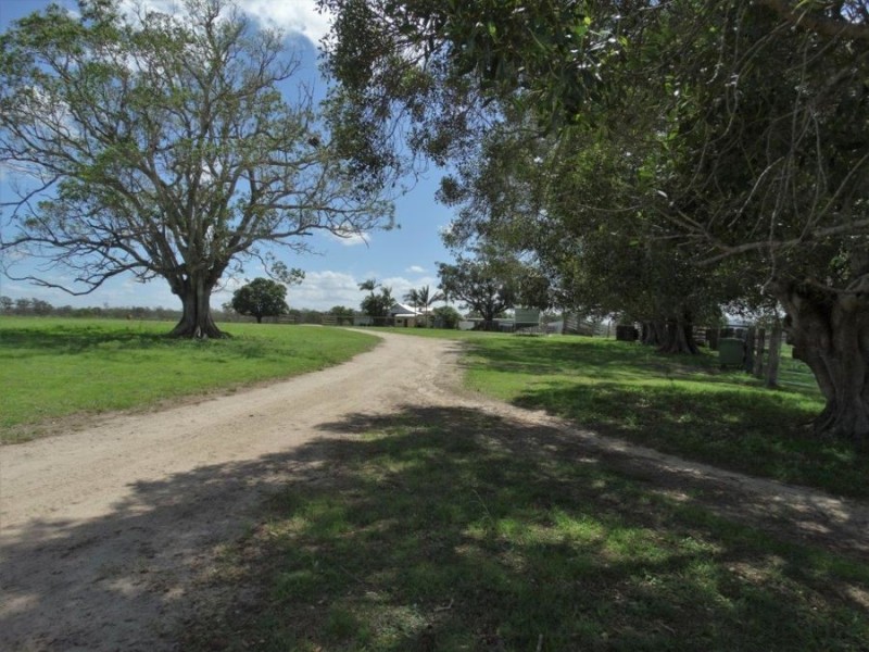 185 Dahls Road, Miriam Vale QLD 4677