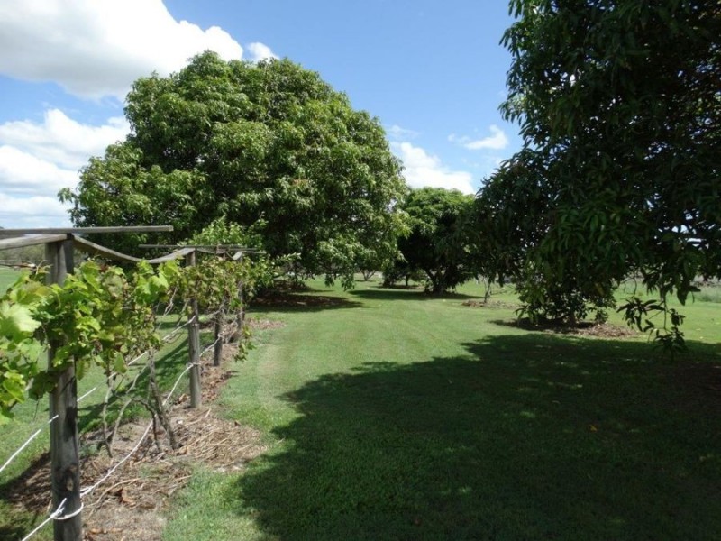 185 Dahls Road, Miriam Vale QLD 4677