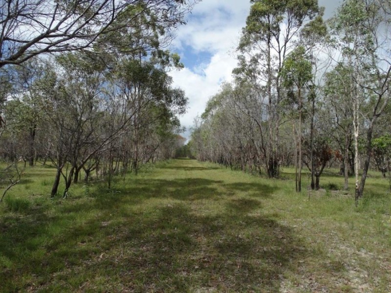 334 Pacific Drive, Deepwater QLD 4674