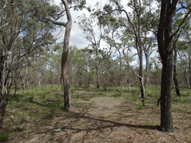 334 Pacific Drive, Deepwater QLD 4674