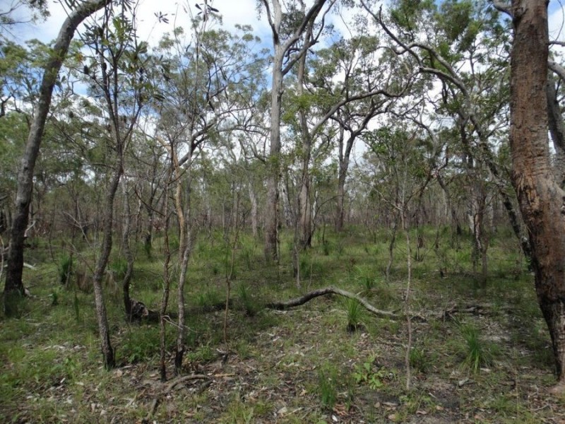 334 Pacific Drive, Deepwater QLD 4674