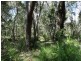 Lot 1 Fingerfield Road, Deepwater QLD 4674