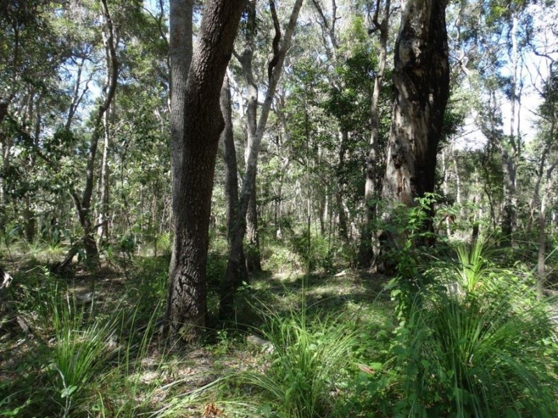 Lot 1 Fingerfield Road, Deepwater QLD 4674