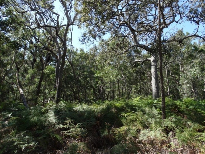 Lot 1 Fingerfield Road, Deepwater QLD 4674