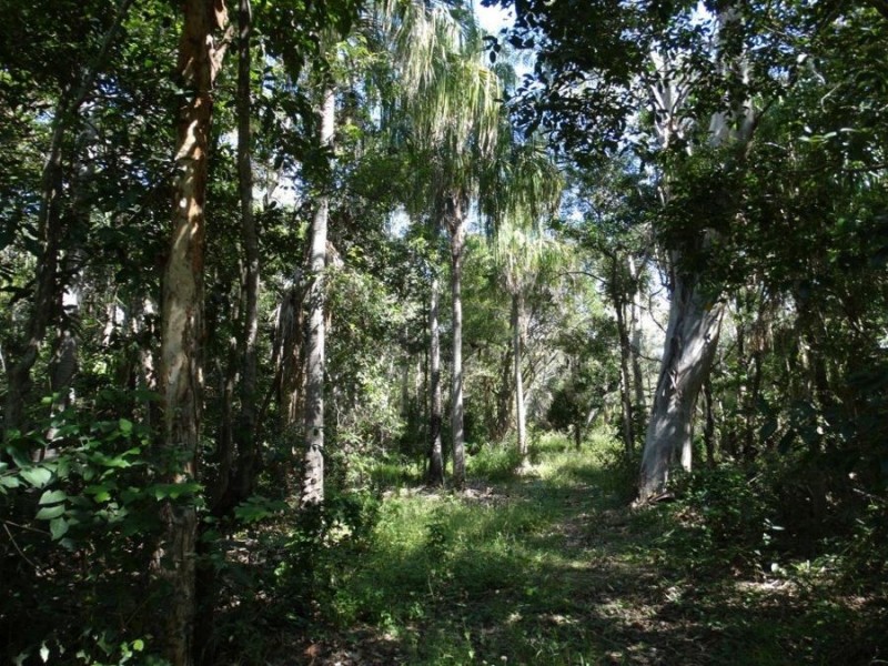 Lot 1 Fingerfield Road, Deepwater QLD 4674