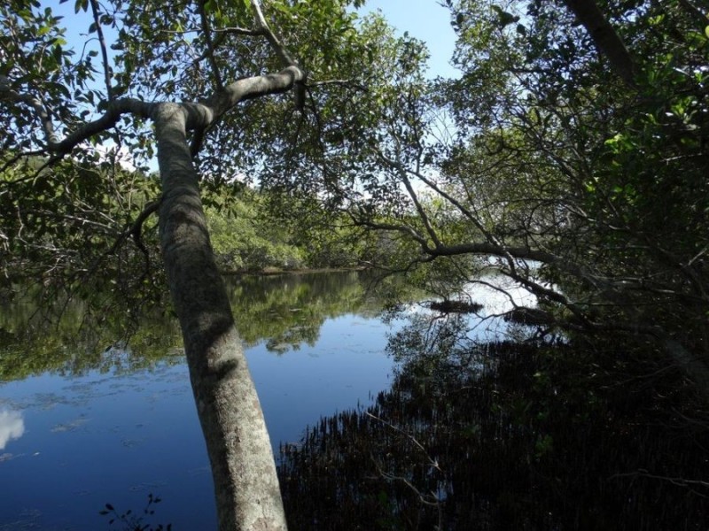 Lot 1 Fingerfield Road, Deepwater QLD 4674