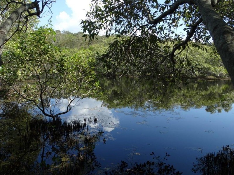 Lot 1 Fingerfield Road, Deepwater QLD 4674