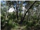 Lot 1 Fingerfield Road, Deepwater QLD 4674