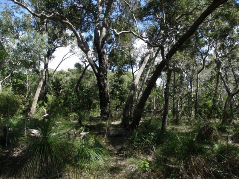 Lot 1 Fingerfield Road, Deepwater QLD 4674