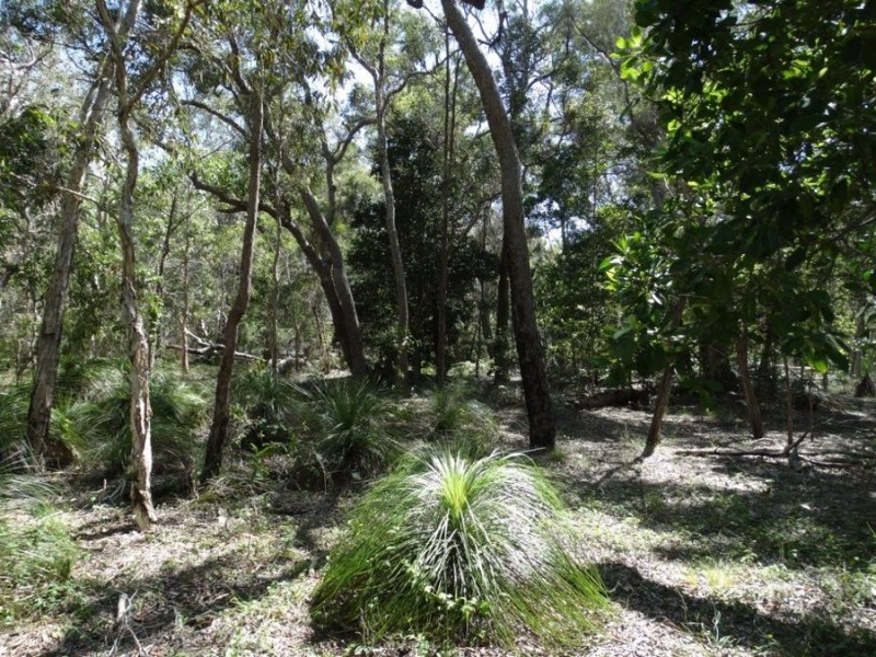 Lot 1 Fingerfield Road, Deepwater QLD 4674