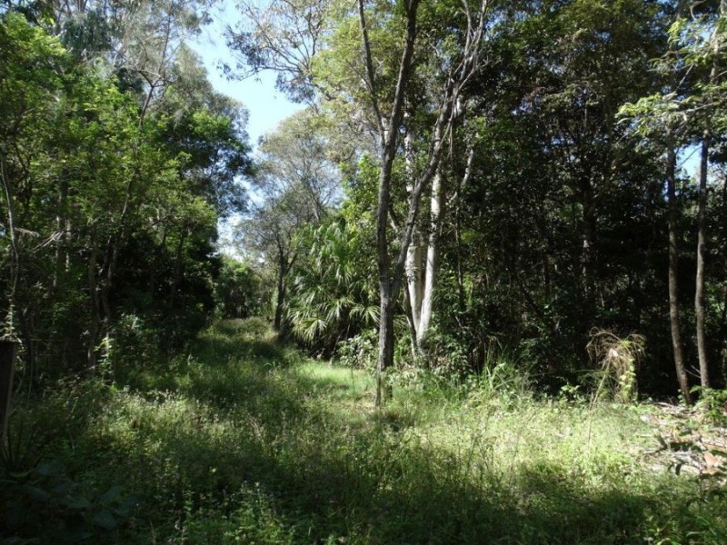 Lot 1 Fingerfield Road, Deepwater QLD 4674