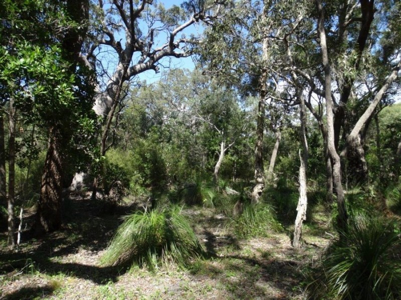 Lot 1 Fingerfield Road, Deepwater QLD 4674