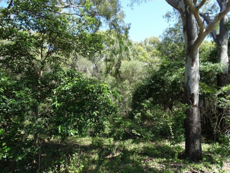 Lot 1 Fingerfield Road, Deepwater QLD 4674