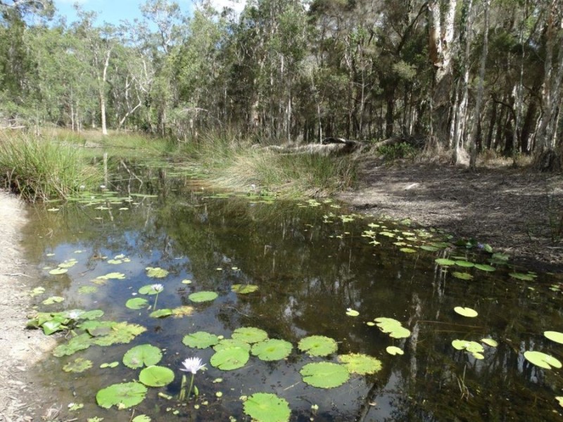 497 Muller Road, Baffle Creek QLD 4674