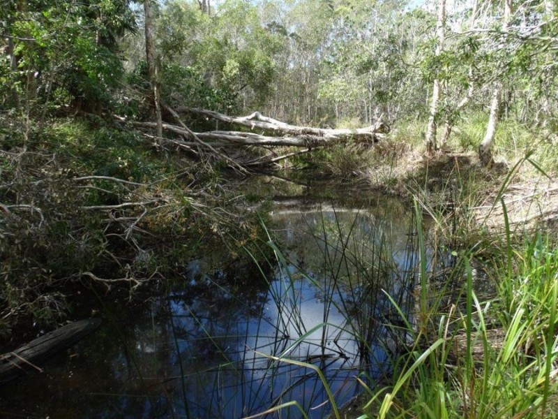 497 Muller Road, Baffle Creek QLD 4674